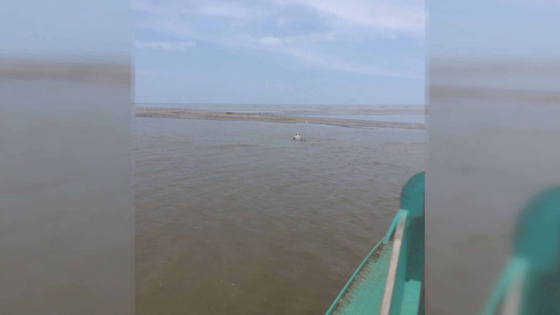 New island discovered off Louisiana coast near St. Mary Parish